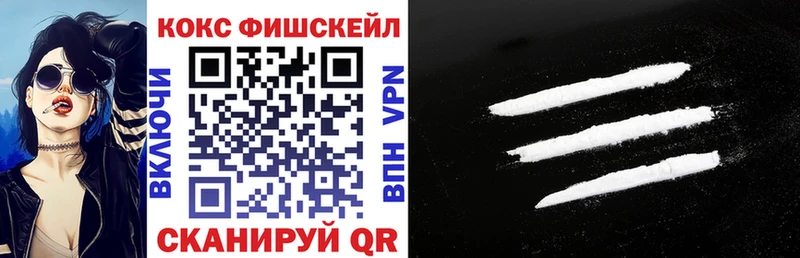 КОКАИН Fish Scale  цены   Мурманск 