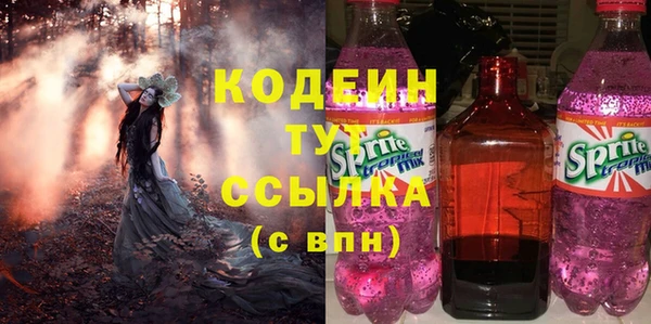 индика Балабаново