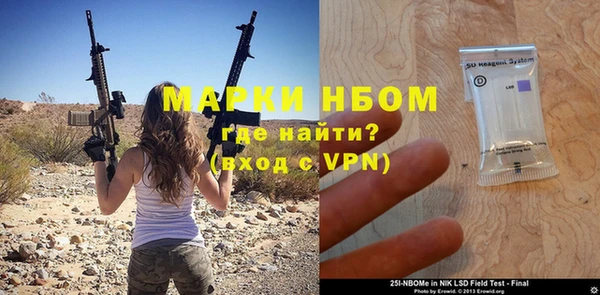 индика Балабаново