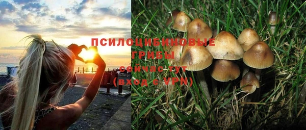 прущая мука Балахна
