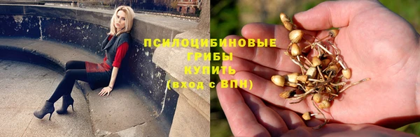 индика Балабаново