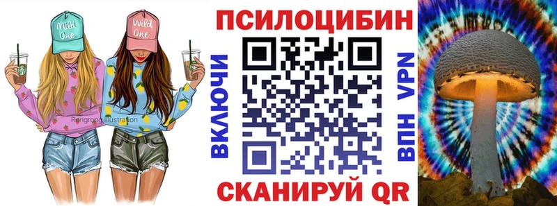 mega как зайти  Мурманск  Галлюциногенные грибы Cubensis 
